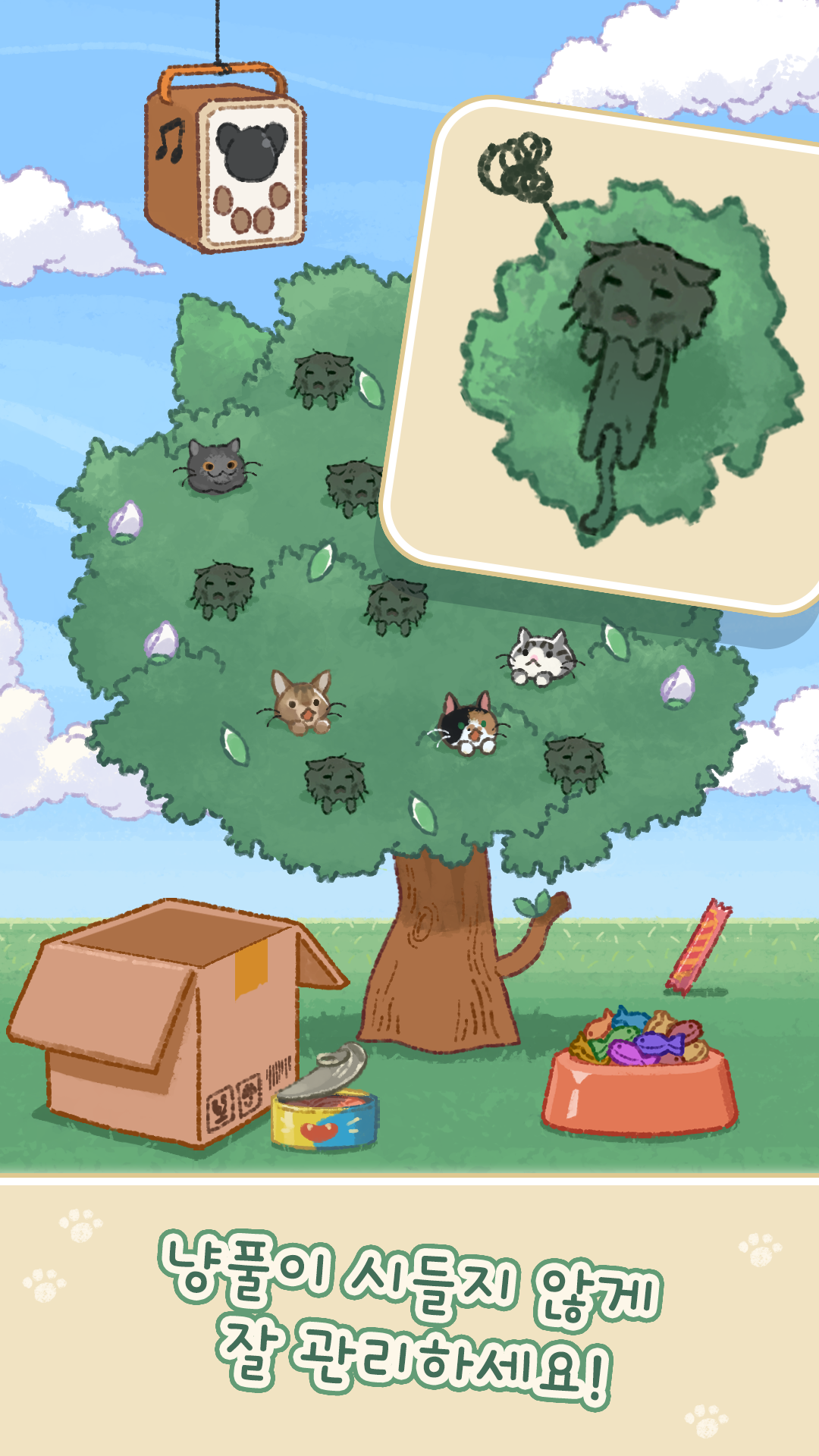 Cat Flower Tree