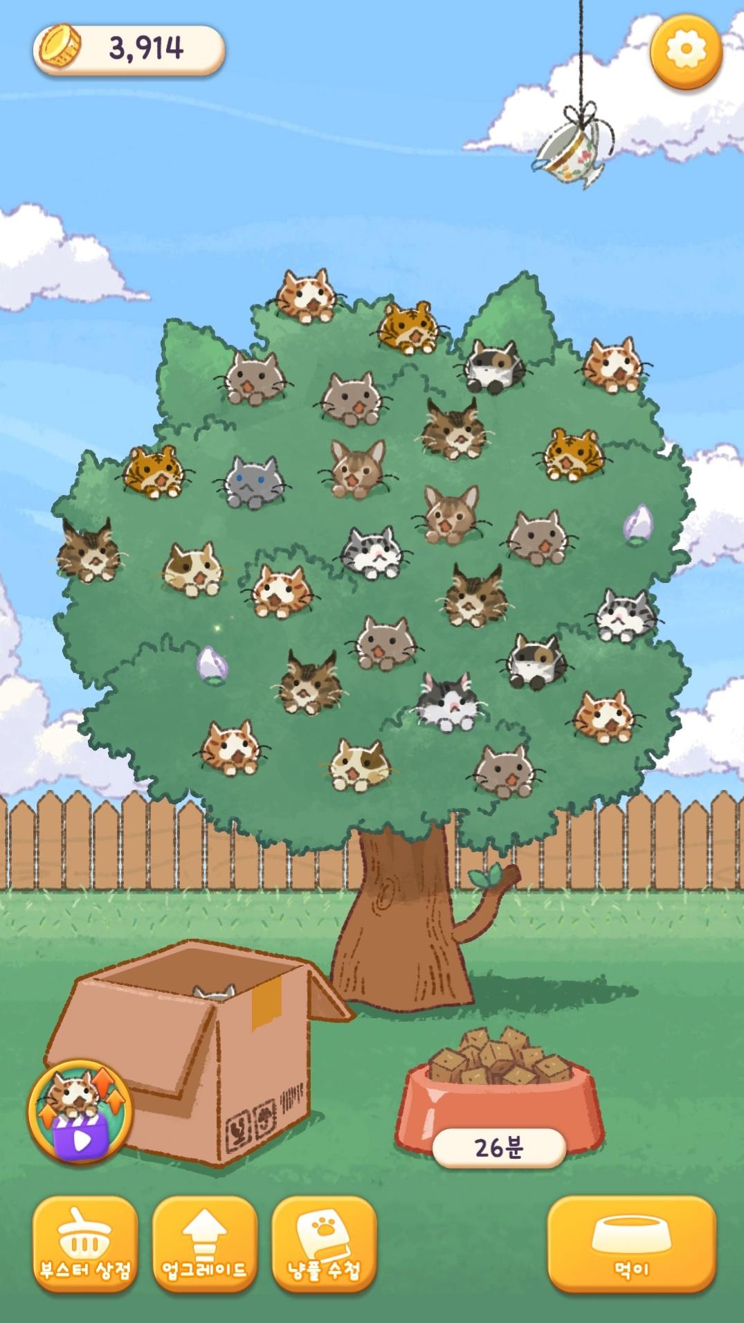 Cat Flower Tree