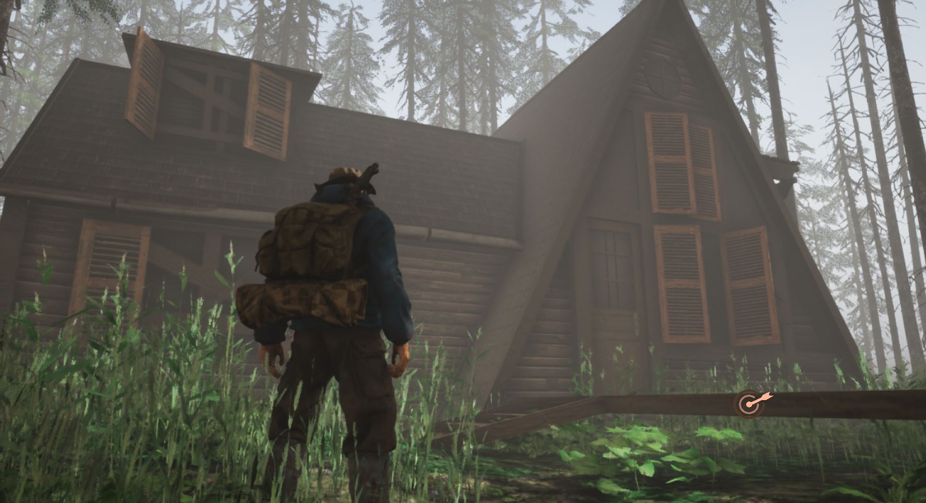 Inhabitants of The Fir Forest