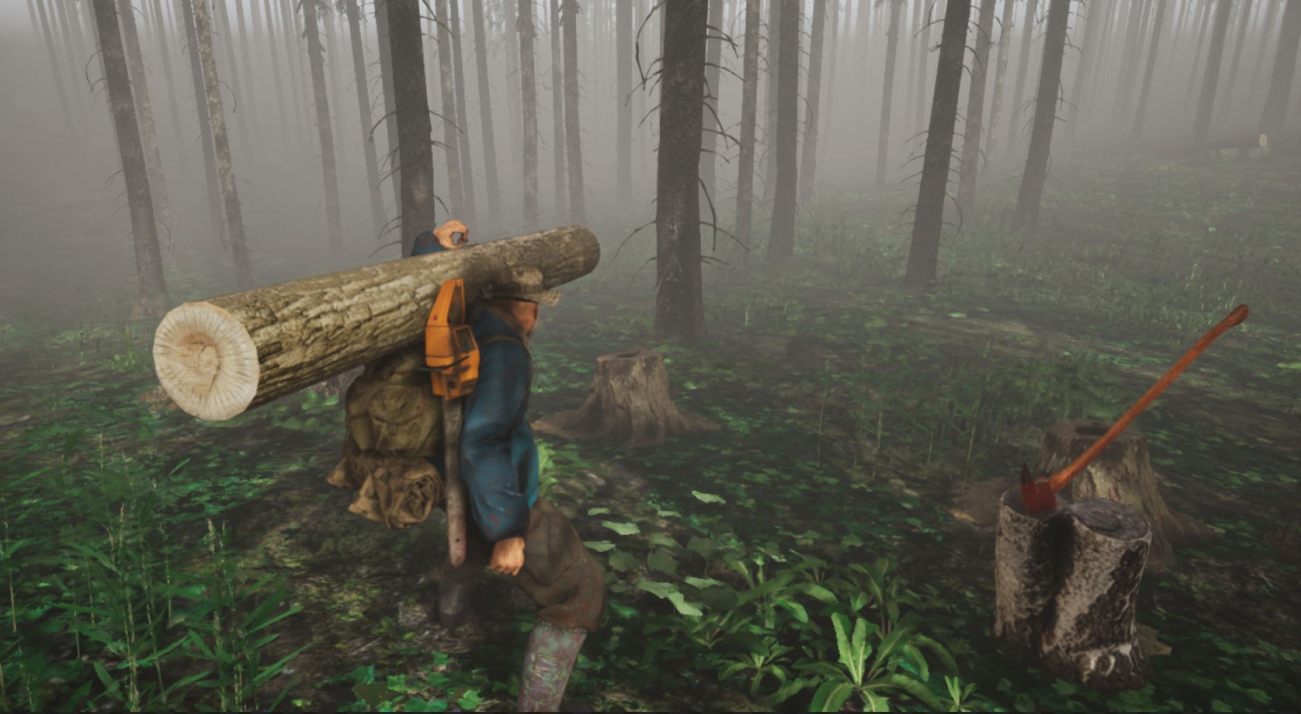 Inhabitants of The Fir Forest