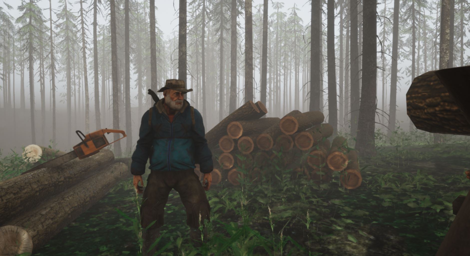 Inhabitants of The Fir Forest