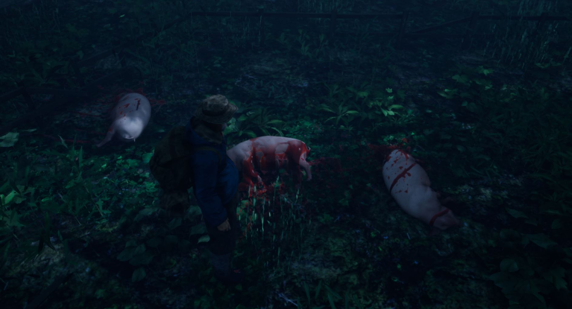 Inhabitants of The Fir Forest