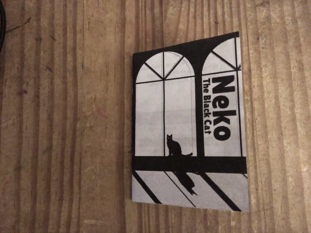 Neko: The Black Cat