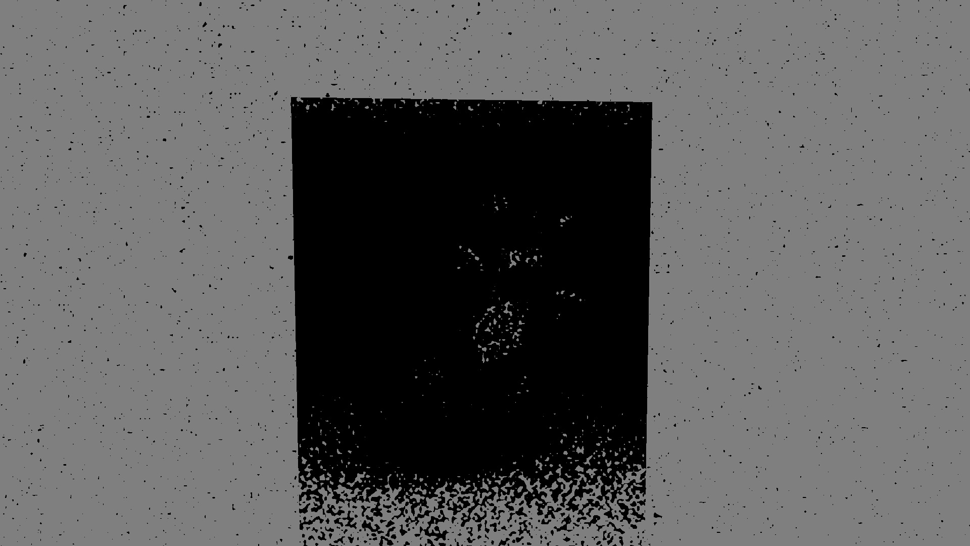 Horror Vacui