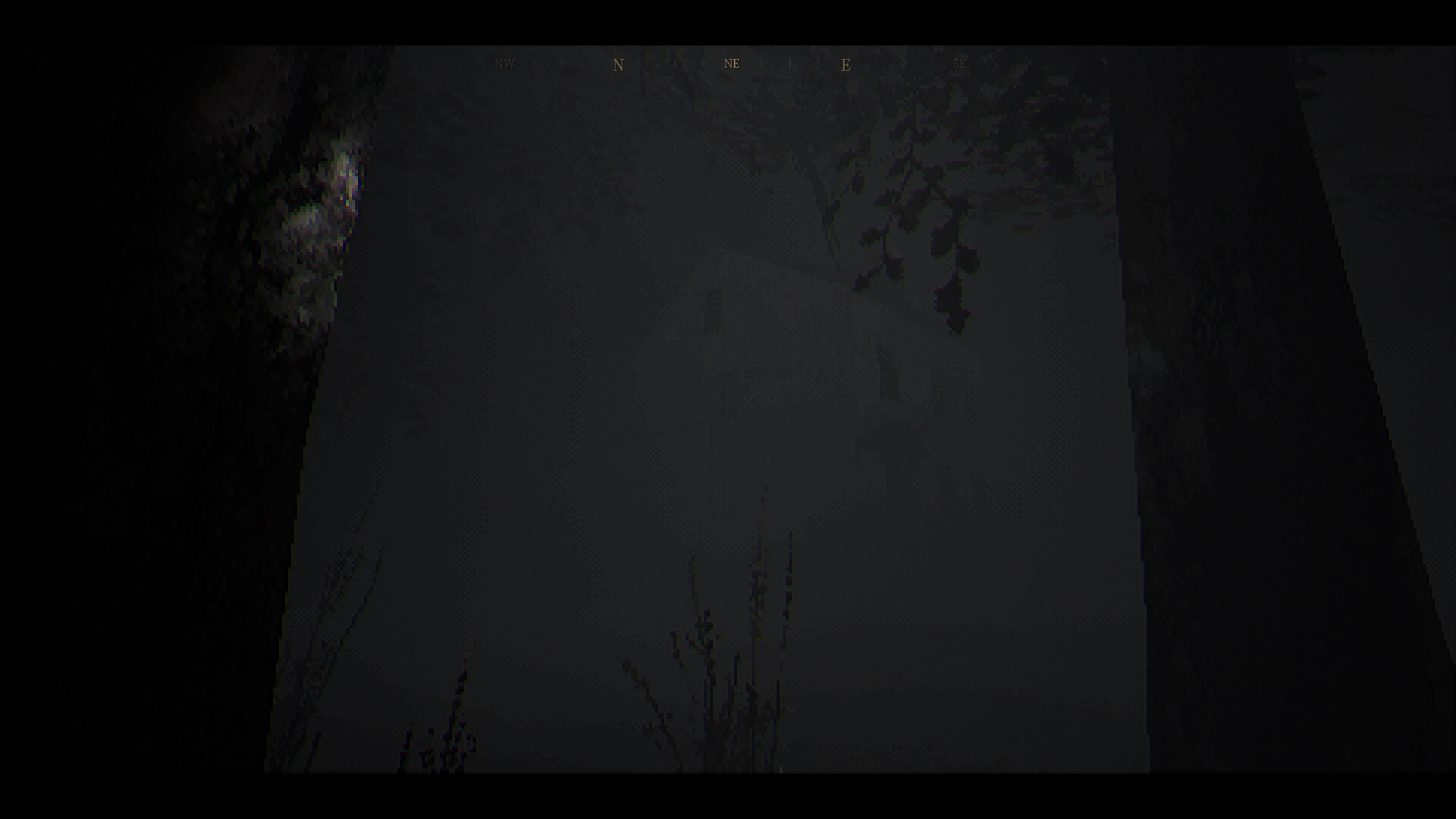 The House in the Woods