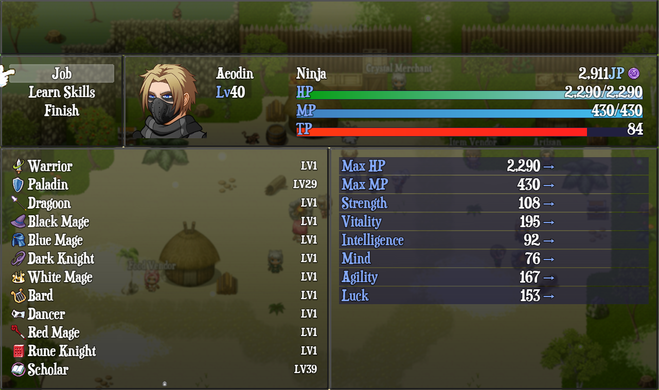 Final Fantasy XI Braver