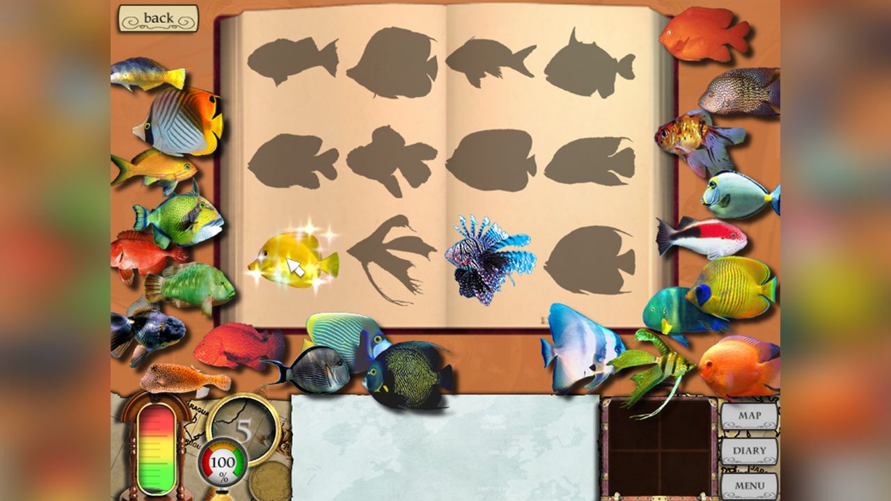 Treasure Masters, Inc.