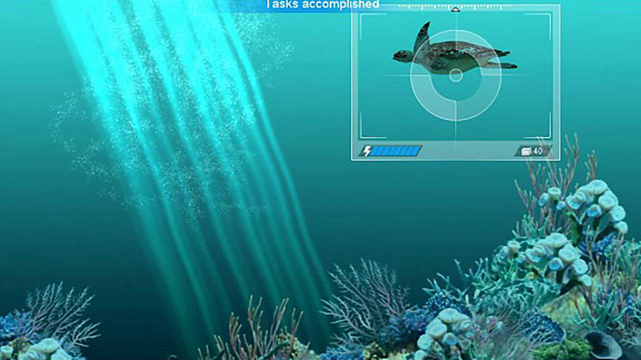 Caribbean Sea Fishes