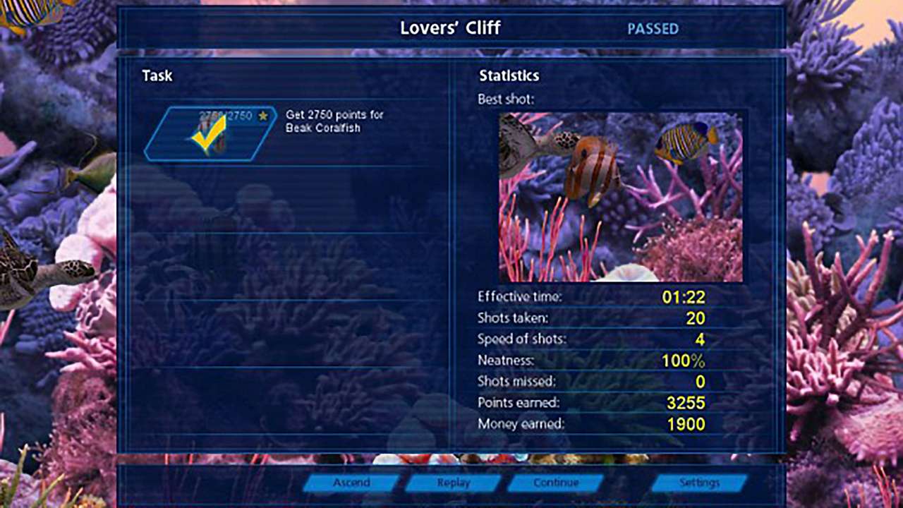 Caribbean Sea Fishes