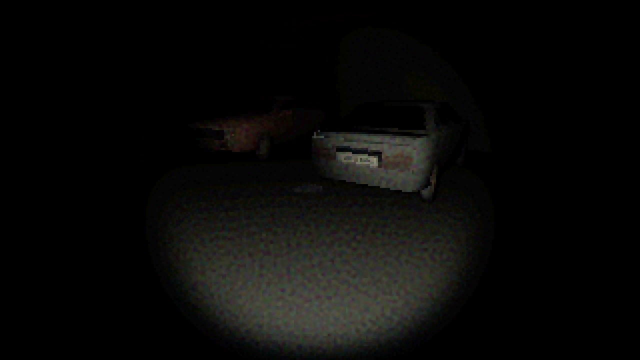 Night Guard: The Last Shift