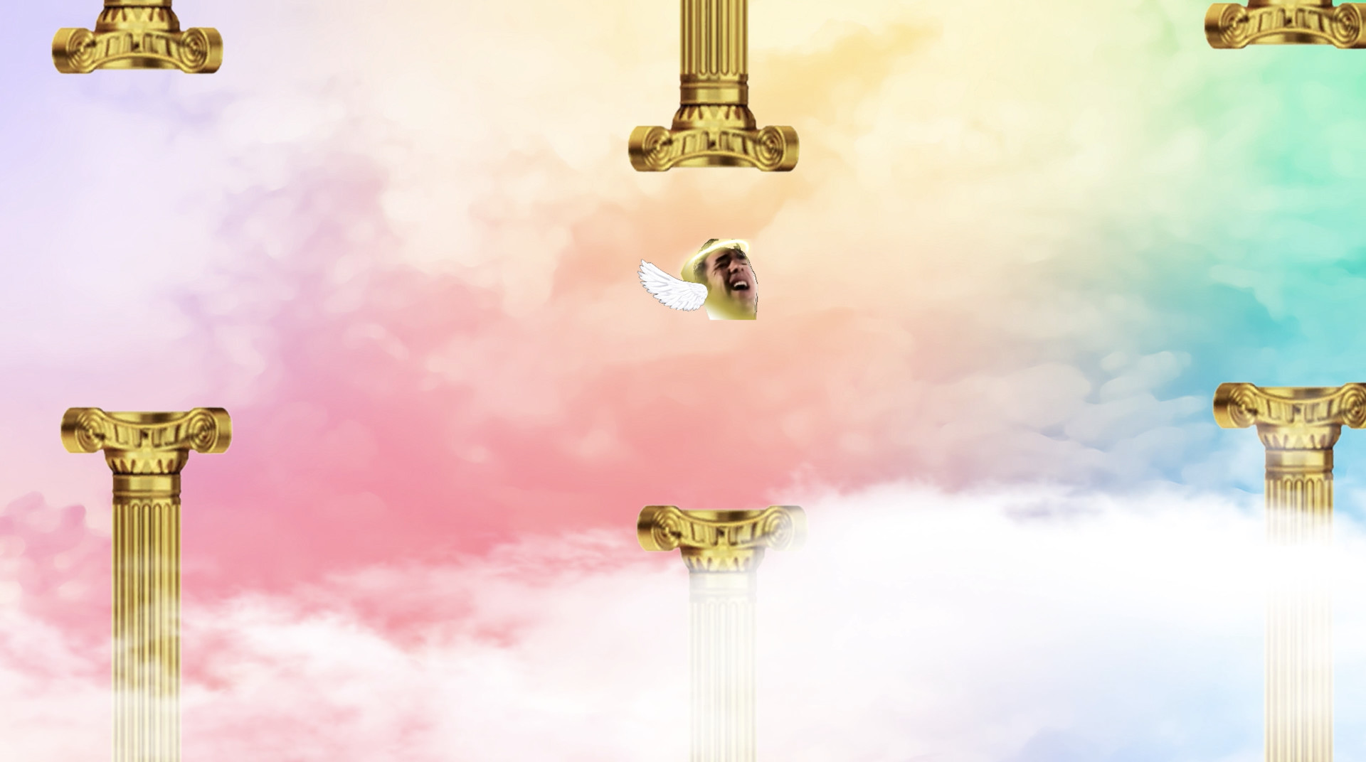 Gachi Bird