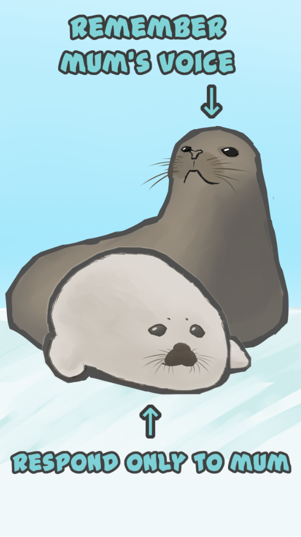 Hungro Seal