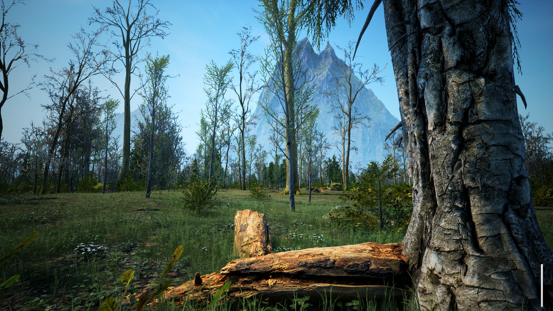 The Quiet Apocalypse