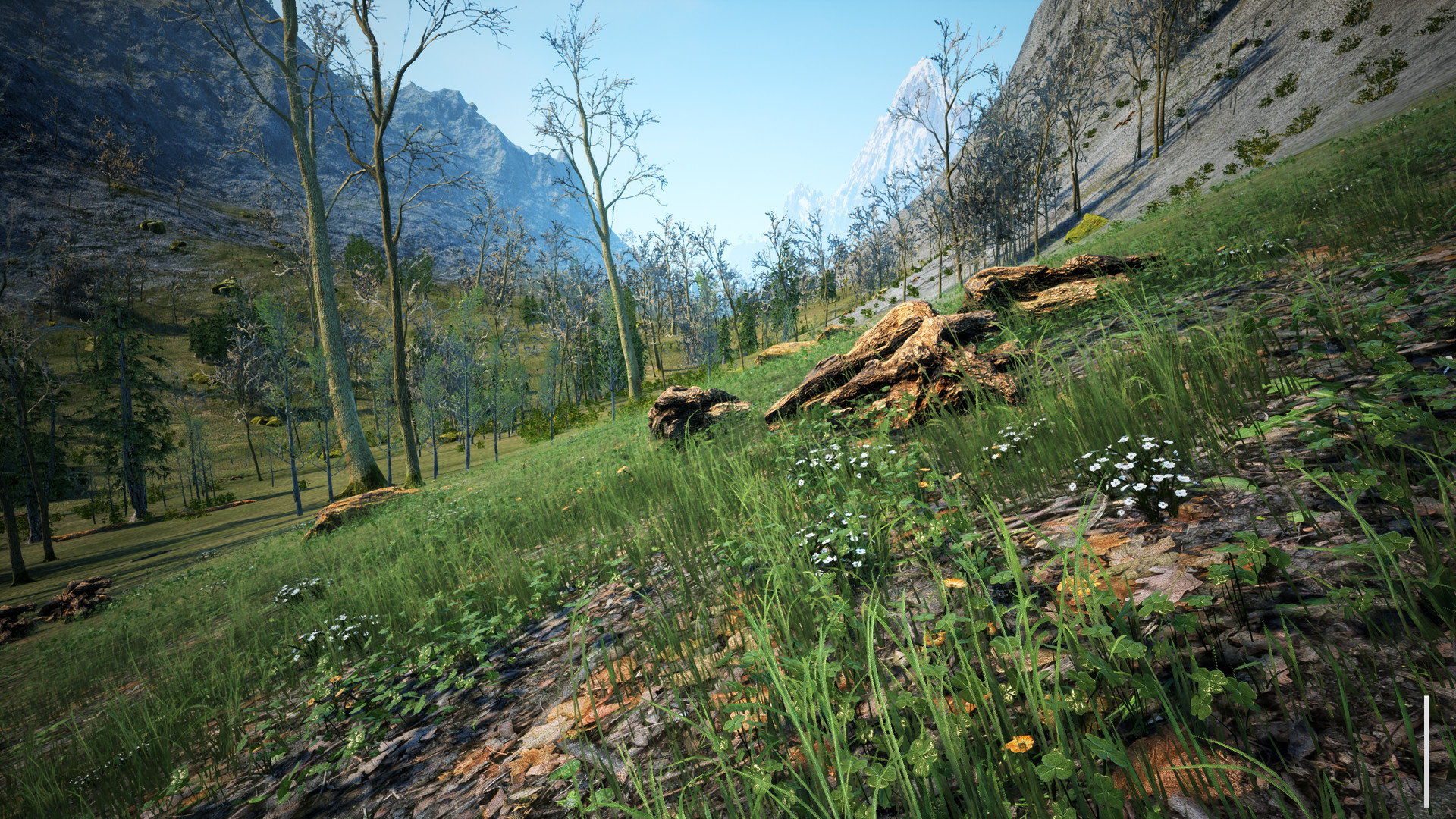 The Quiet Apocalypse