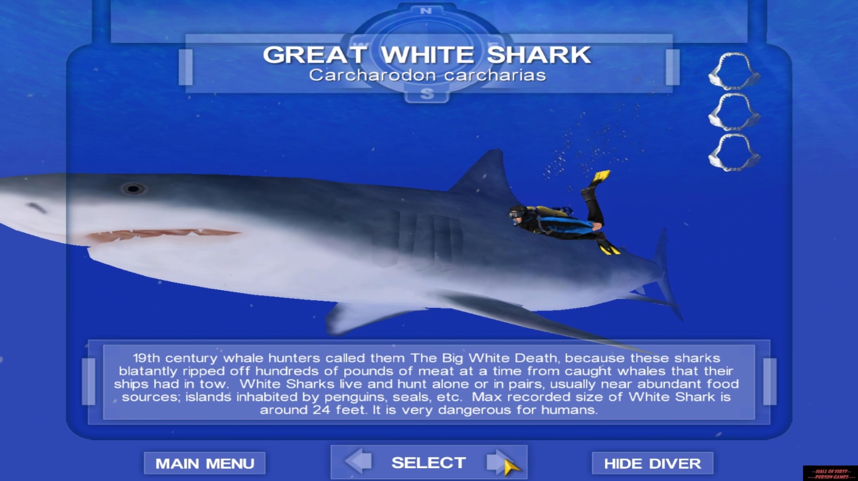 Shark! Hunting the Great White