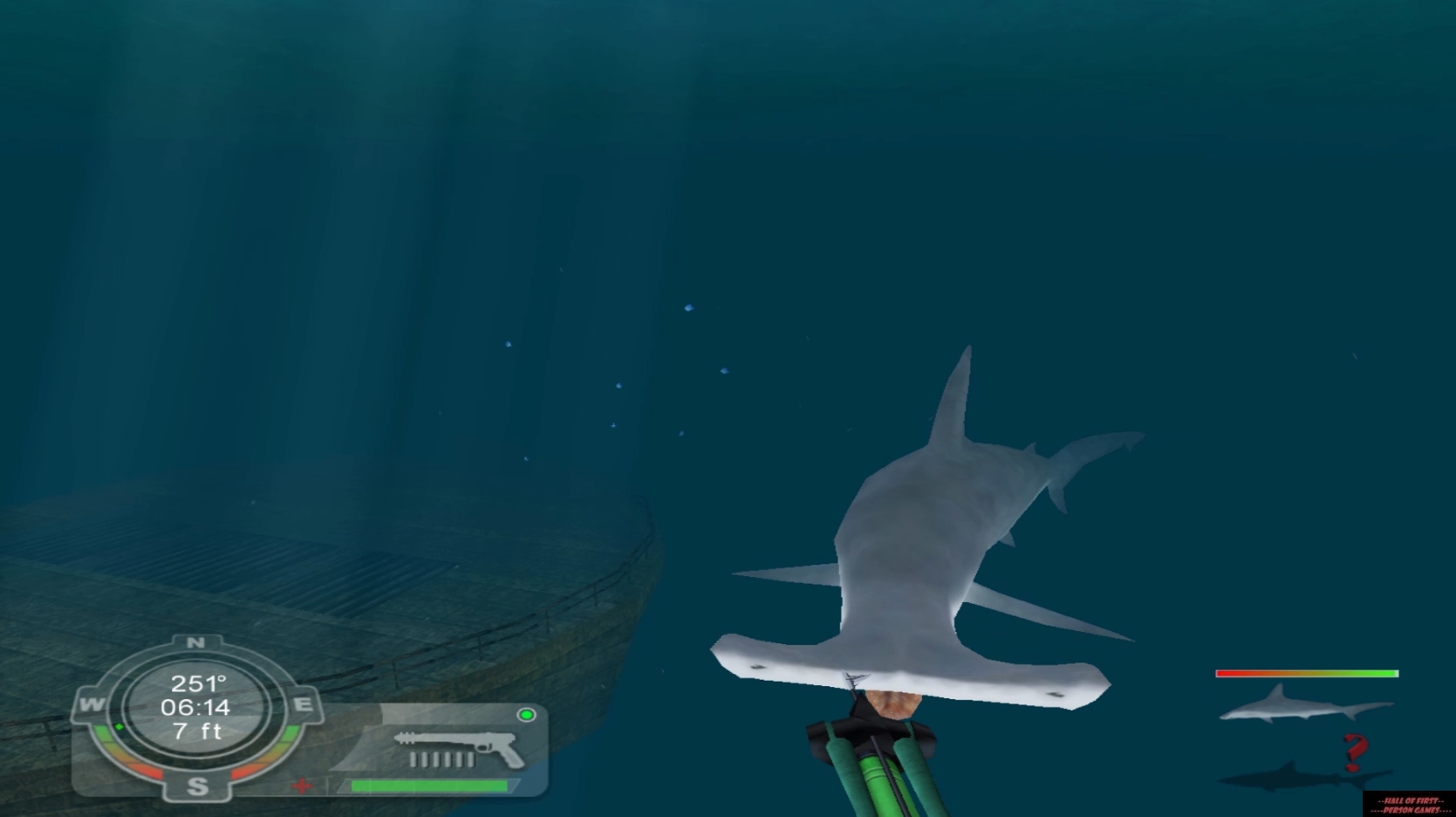 Shark! Hunting the Great White