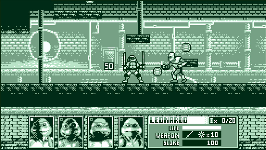 Teenage Mutant Ninja Turtles: Cowabunga