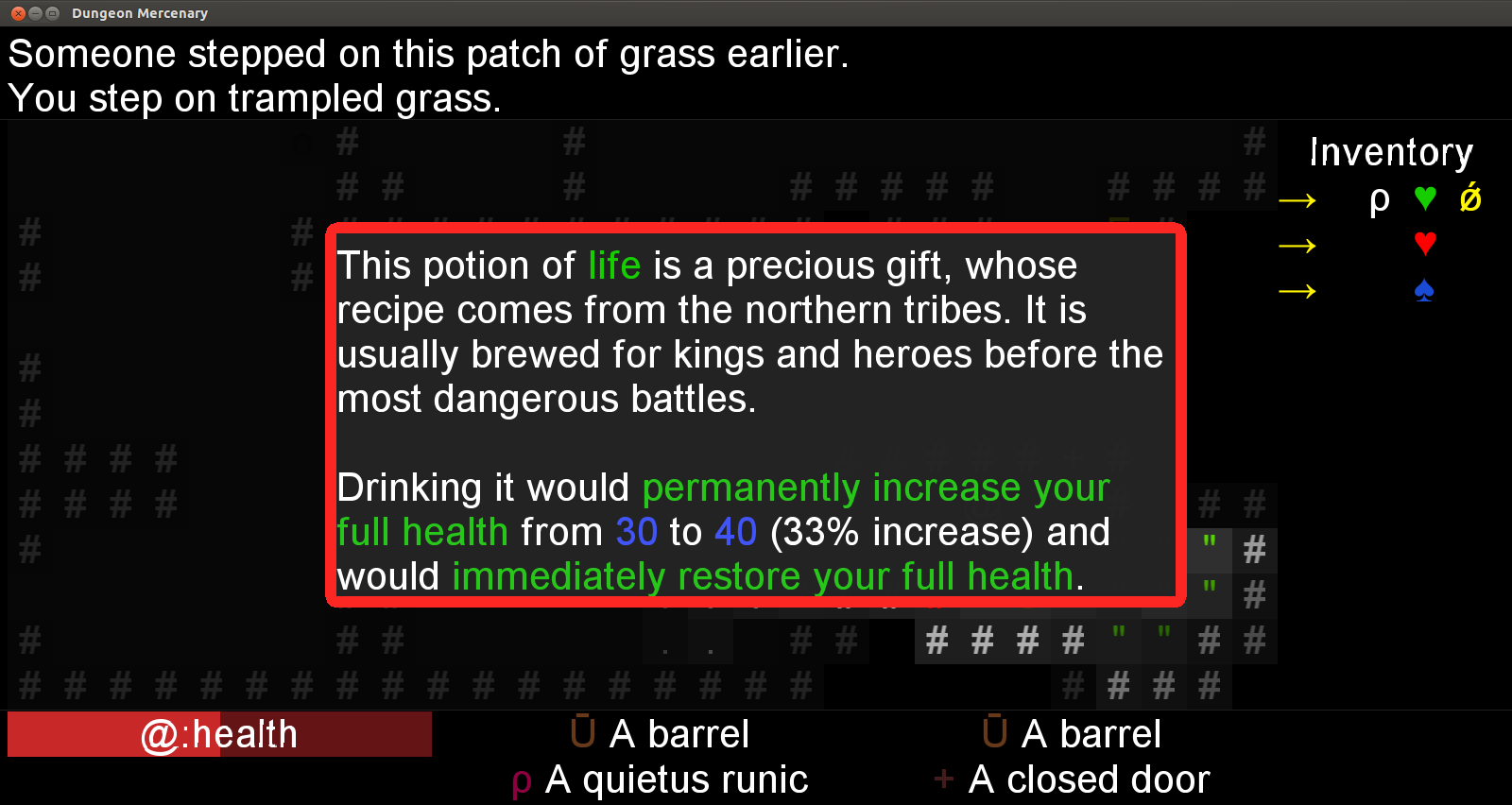 Dungeon Mercenary