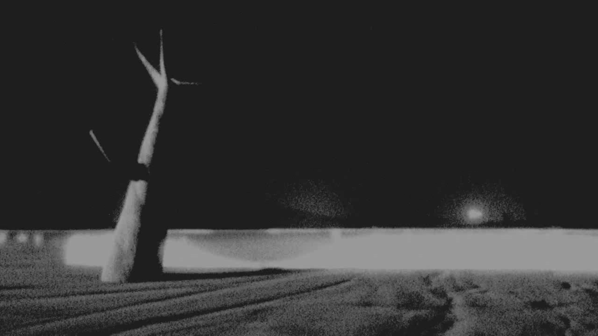 Werewolf in the Wild