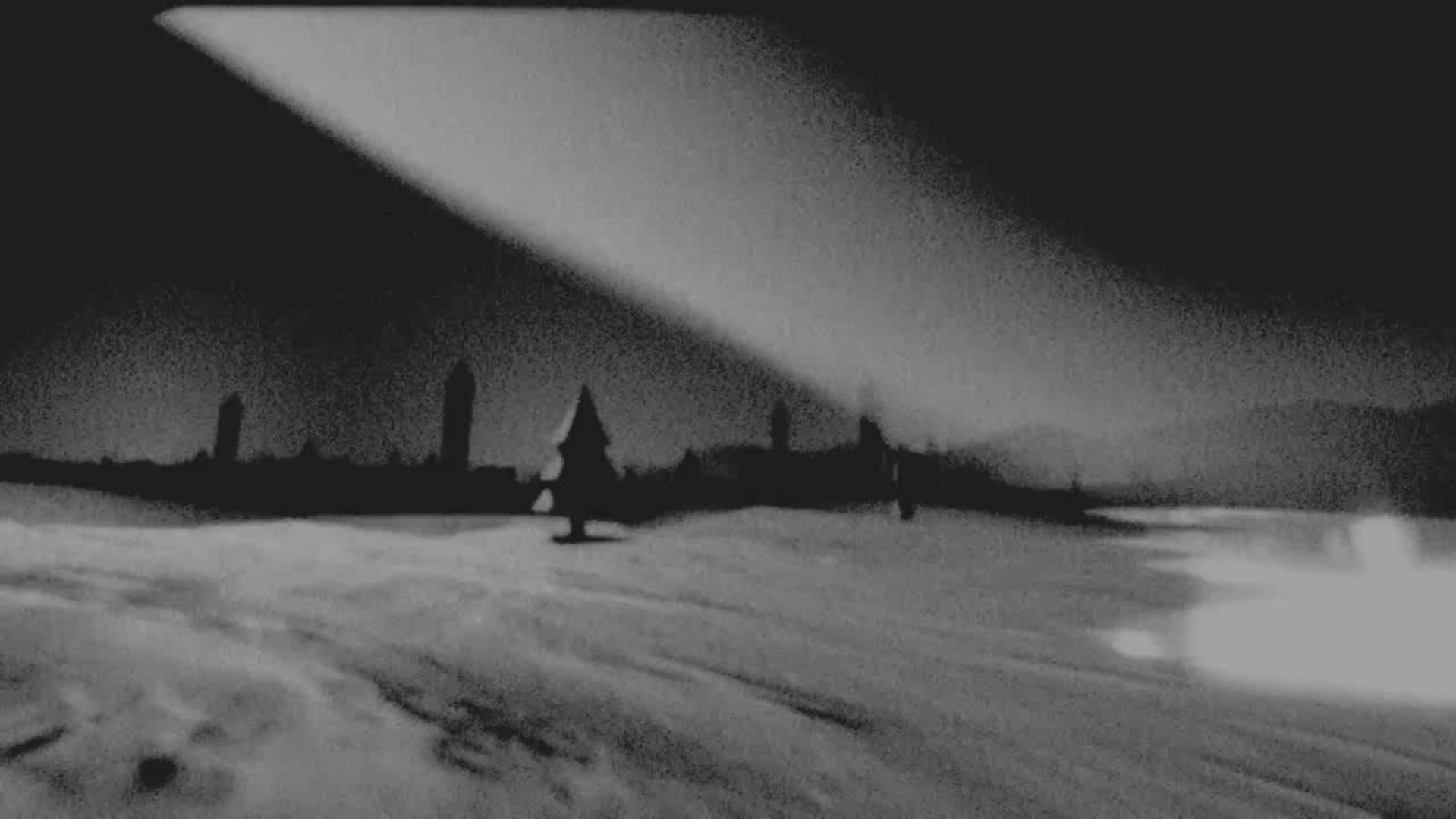 Werewolf in the Wild