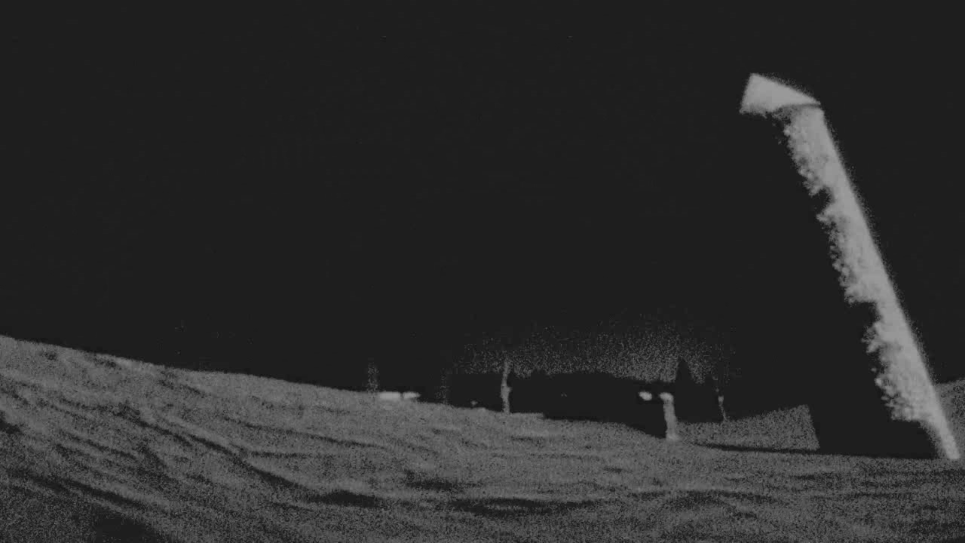 Werewolf in the Wild