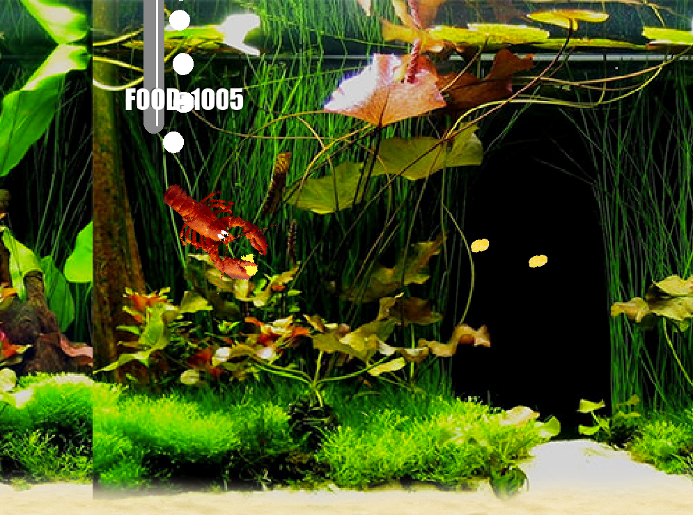 Aquarium Life