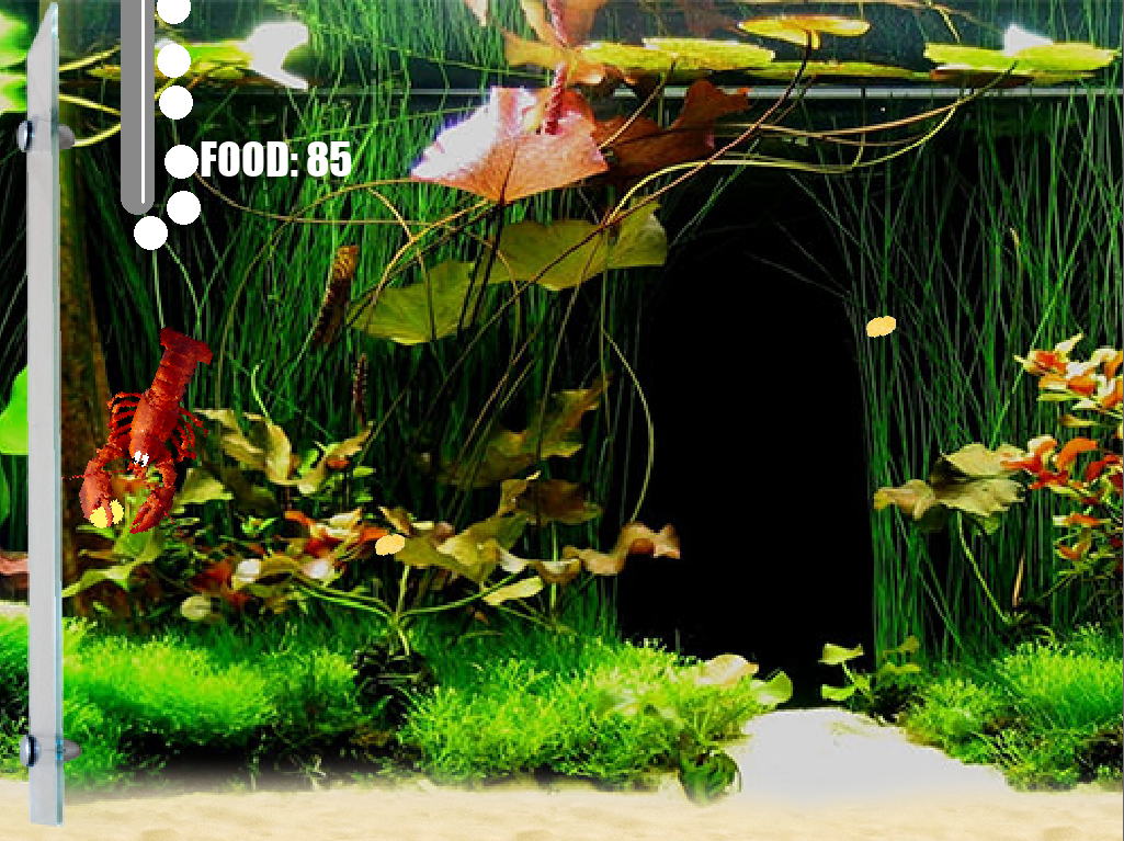 Aquarium Life