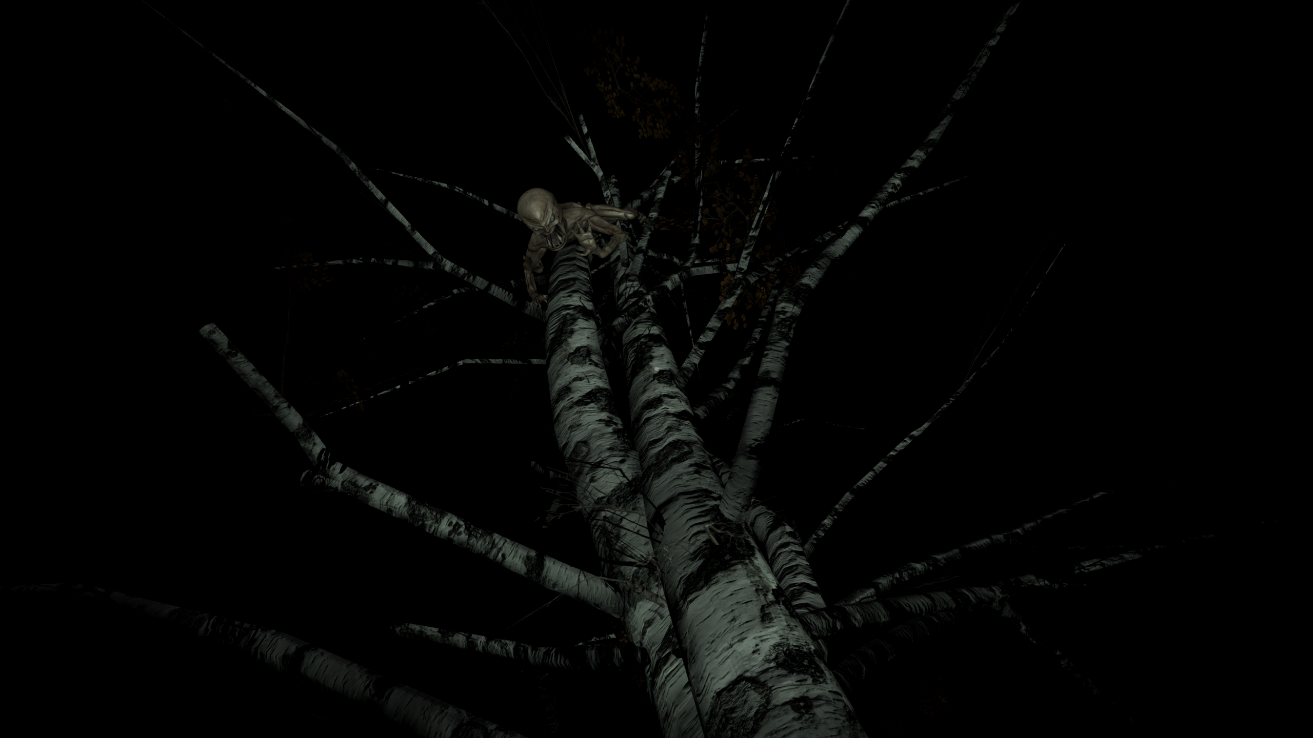 They Come at Poop Time