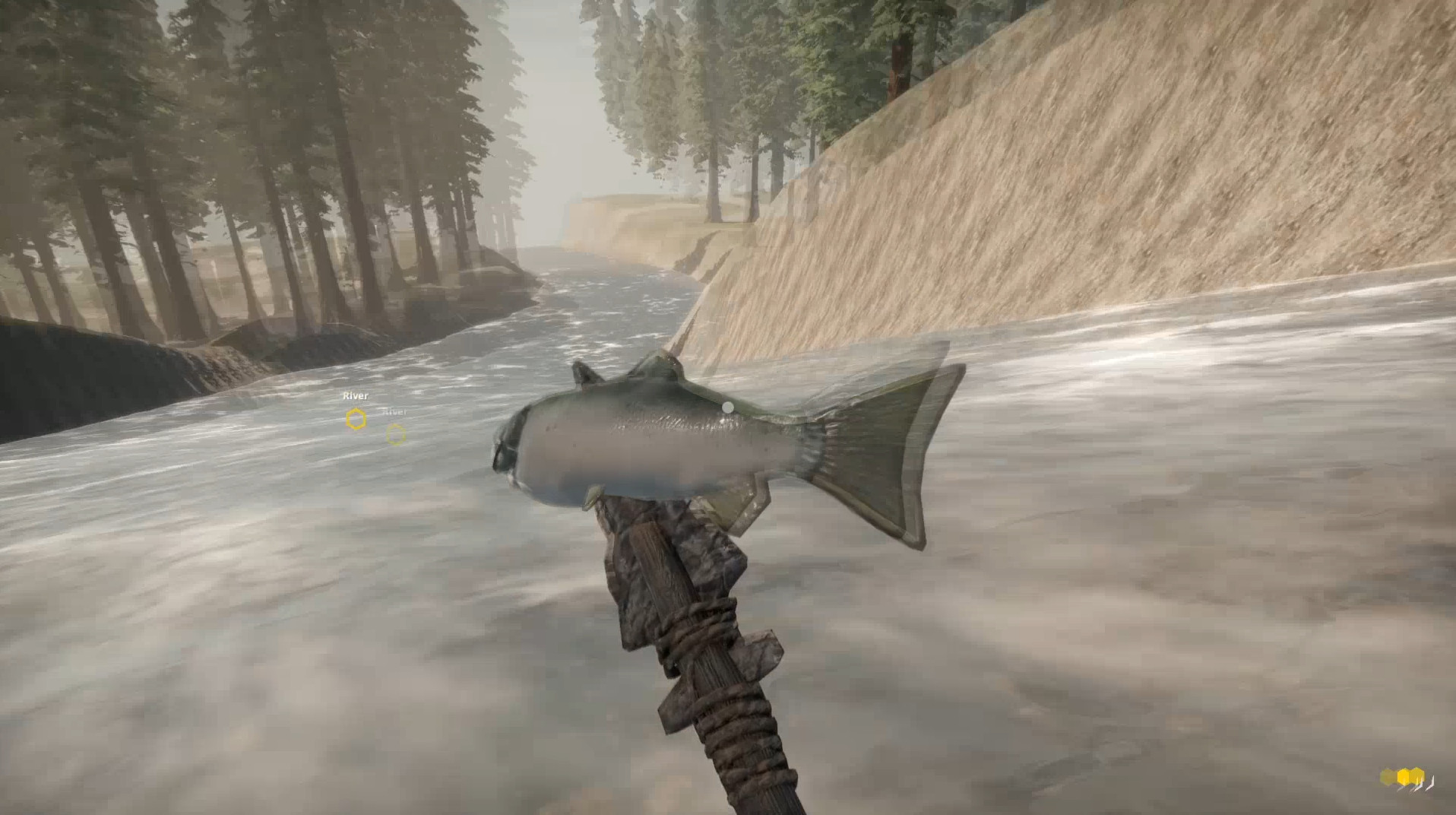 Missing Plane: Survival