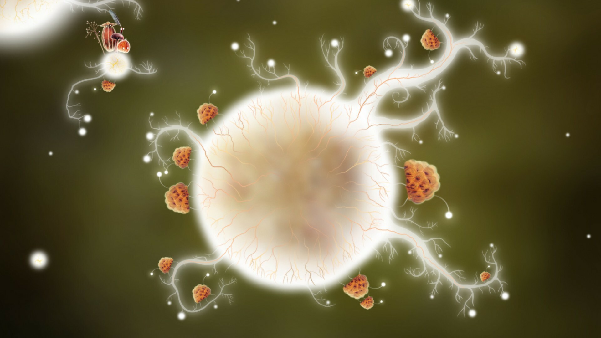 Botanicula: Collector’s Edition