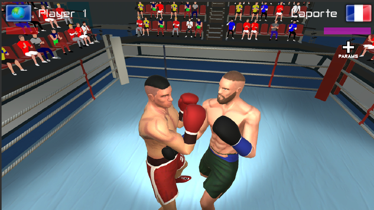 International Boxing