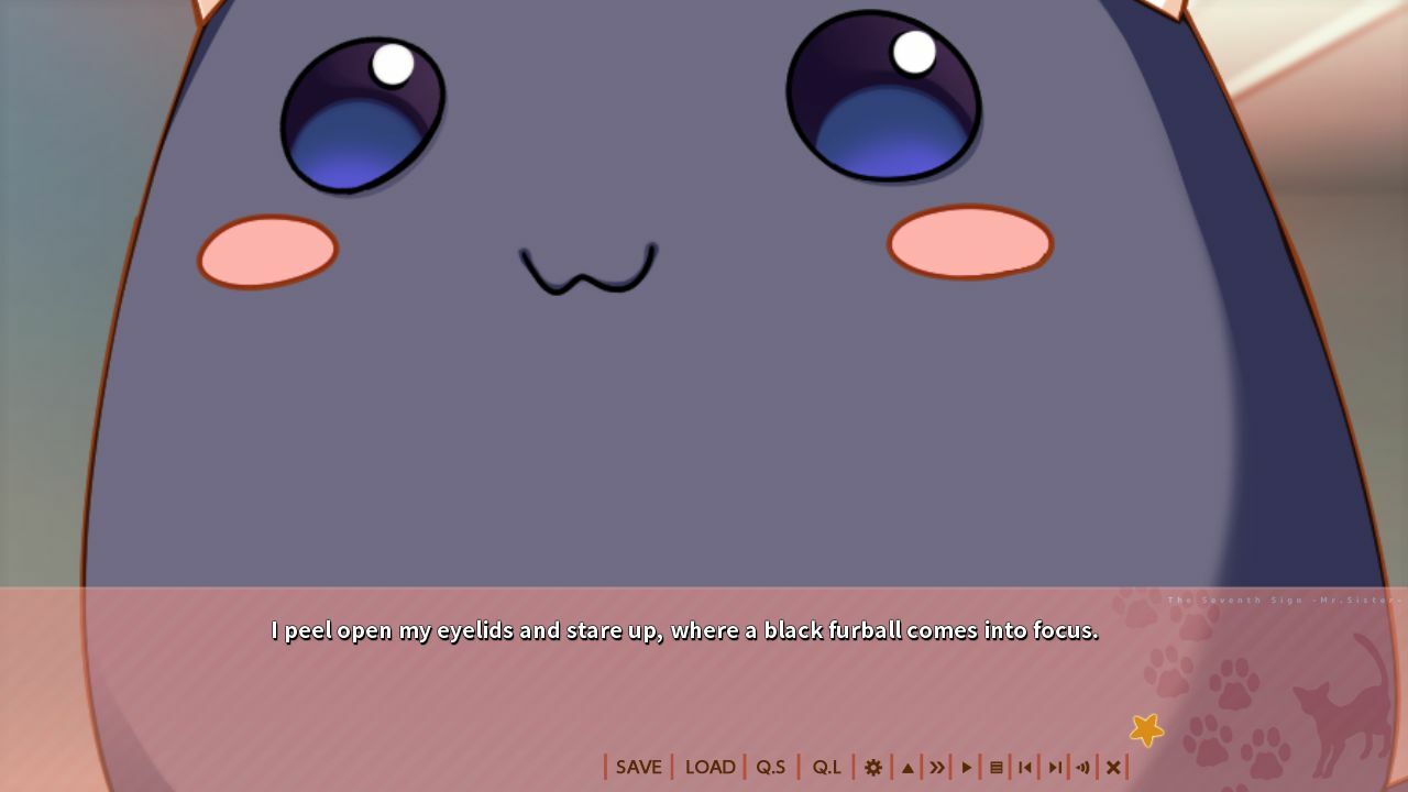 The Seventh Sign: Mr.Sister