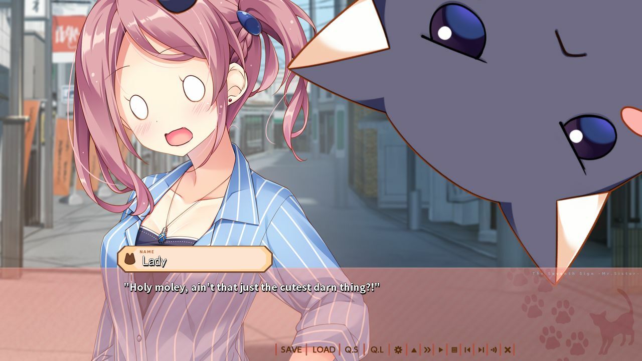 The Seventh Sign: Mr.Sister