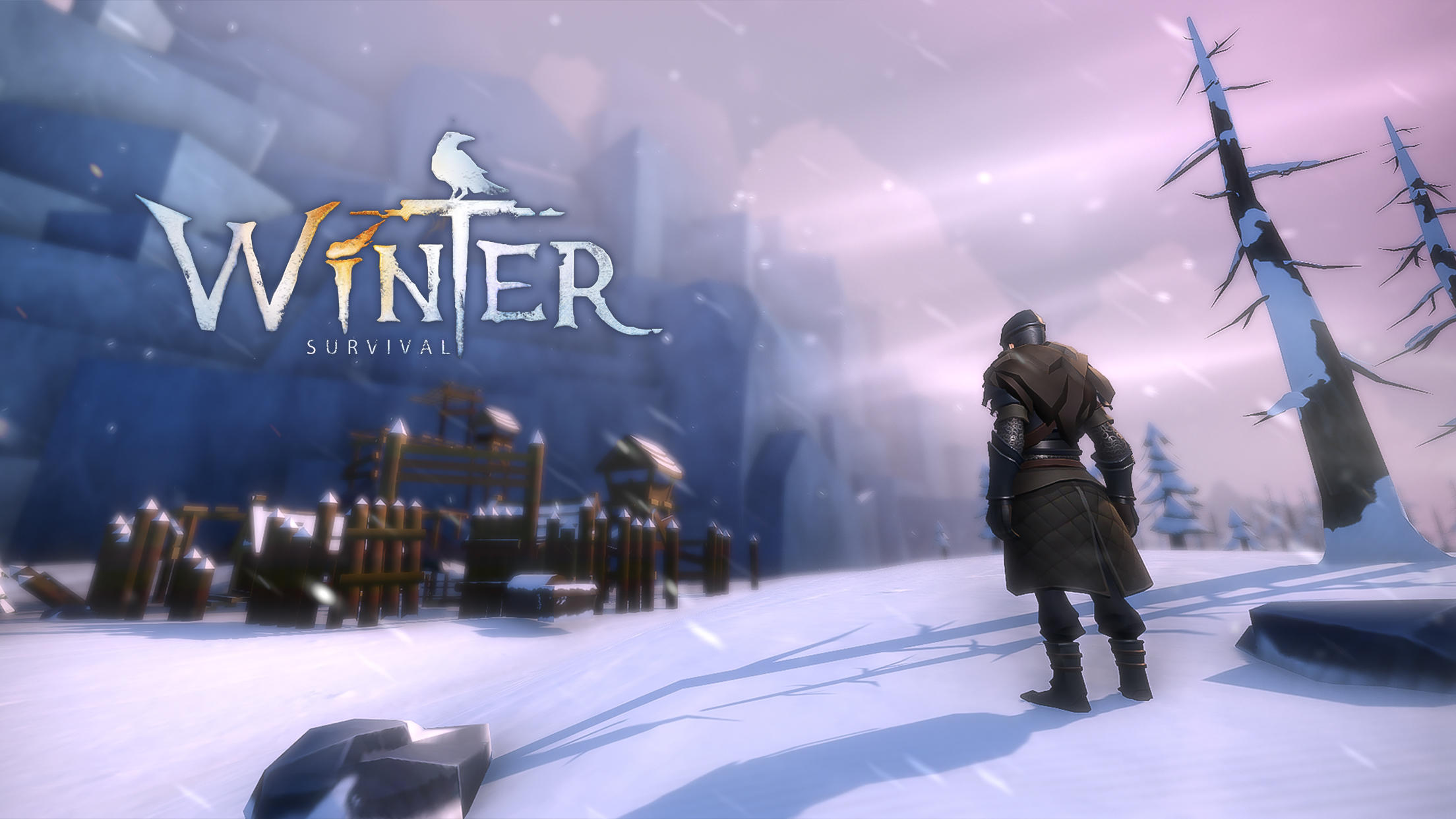 Winter Survival