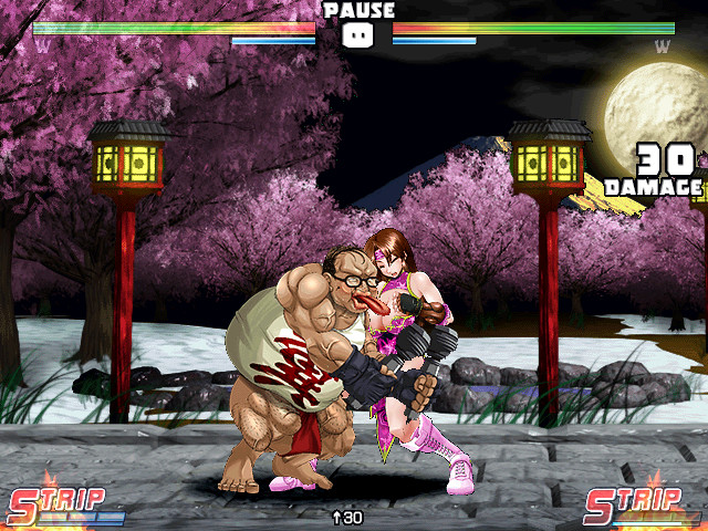 Strip Fighter 5: Chimpocon Edition