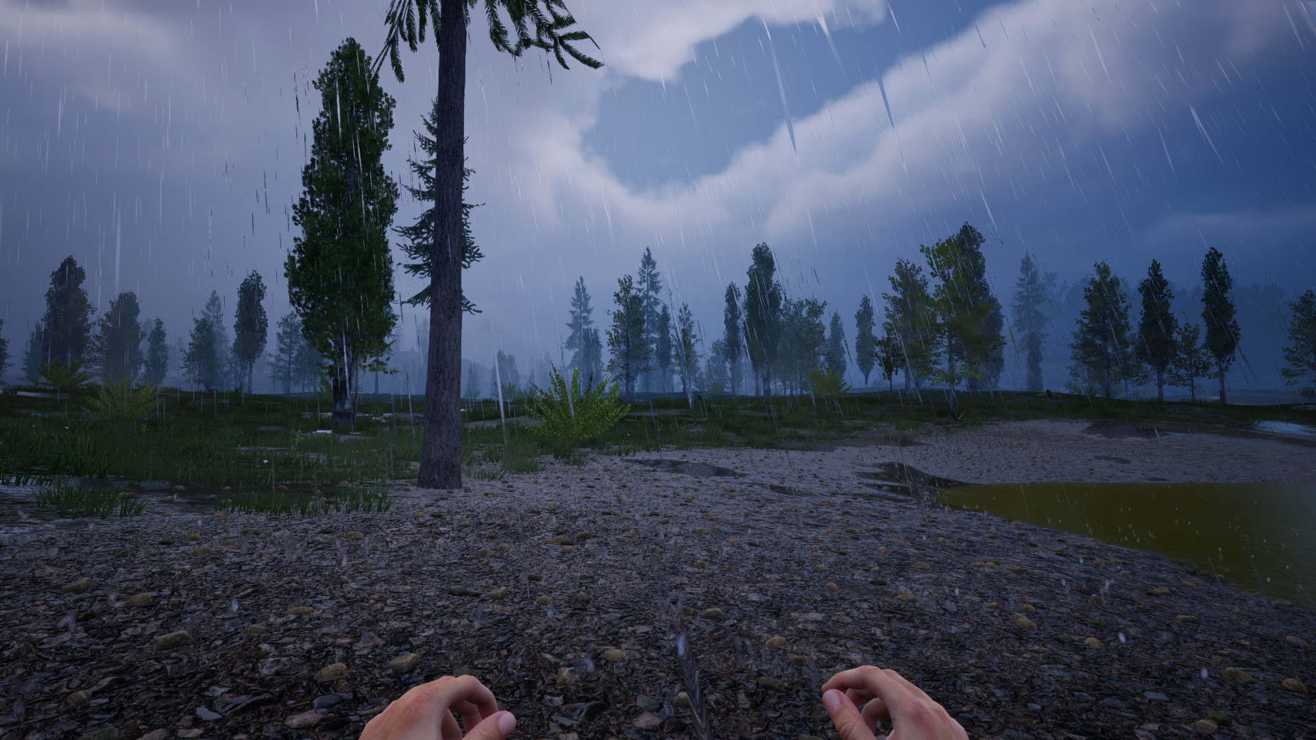 Far Lands