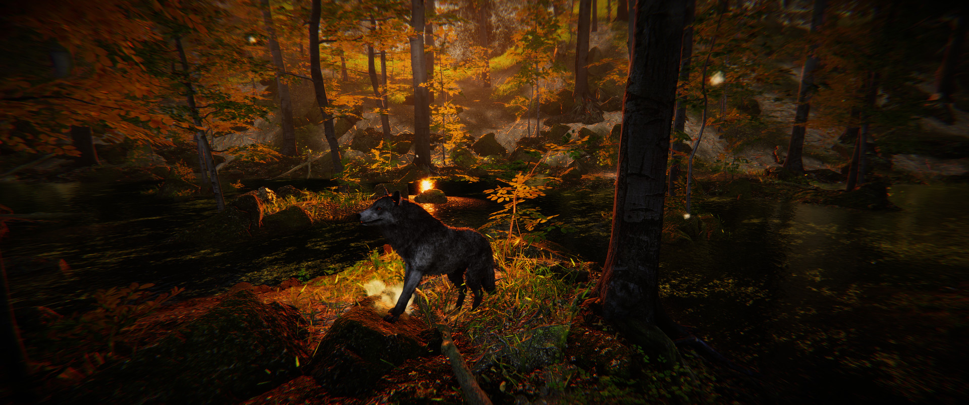 Animal Simulator
