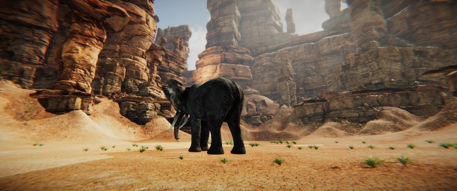 Animal Simulator