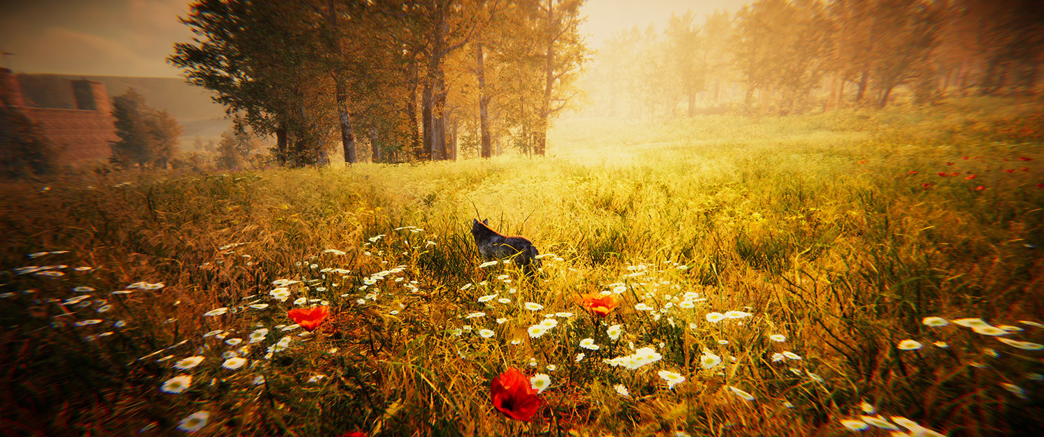 Animal Simulator
