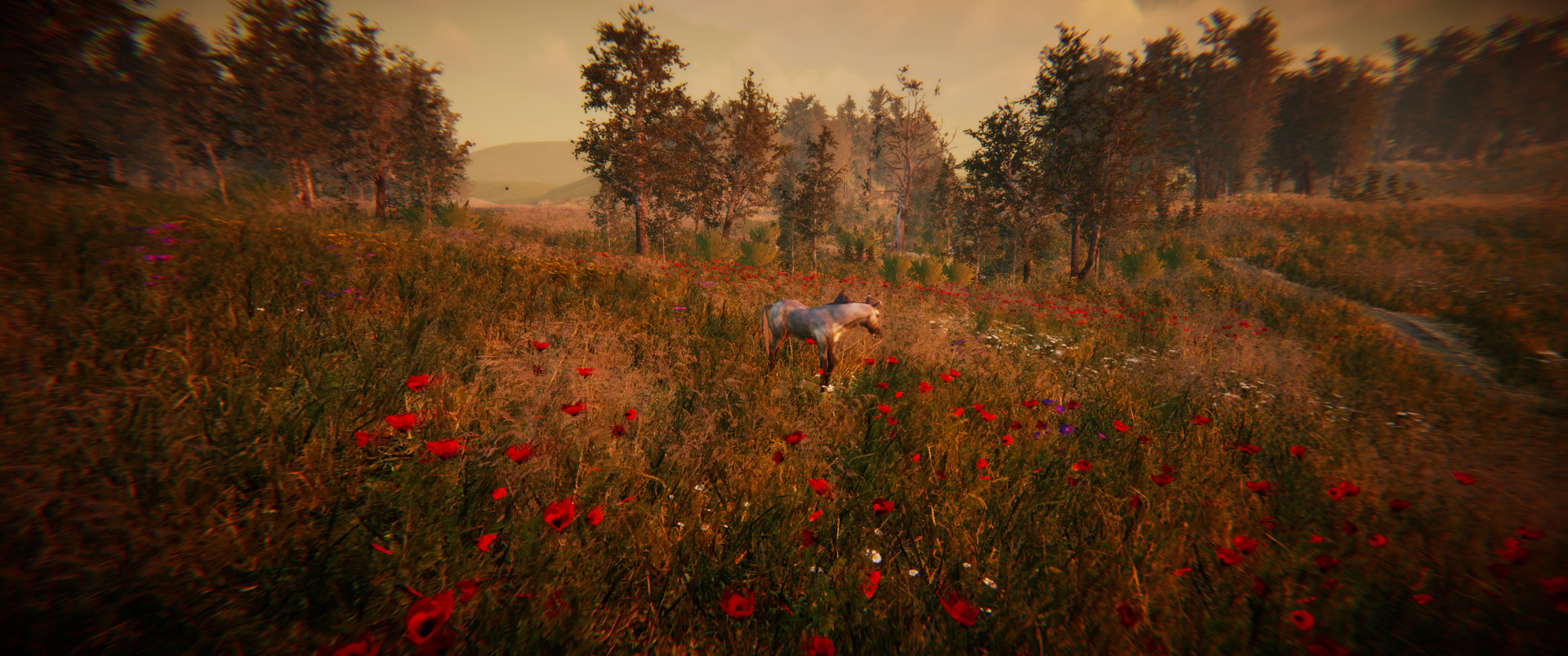 Animal Simulator