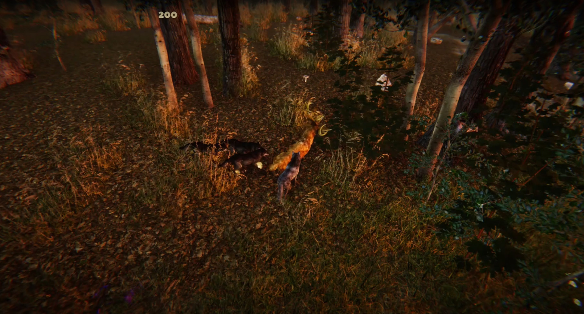 Animal Simulator