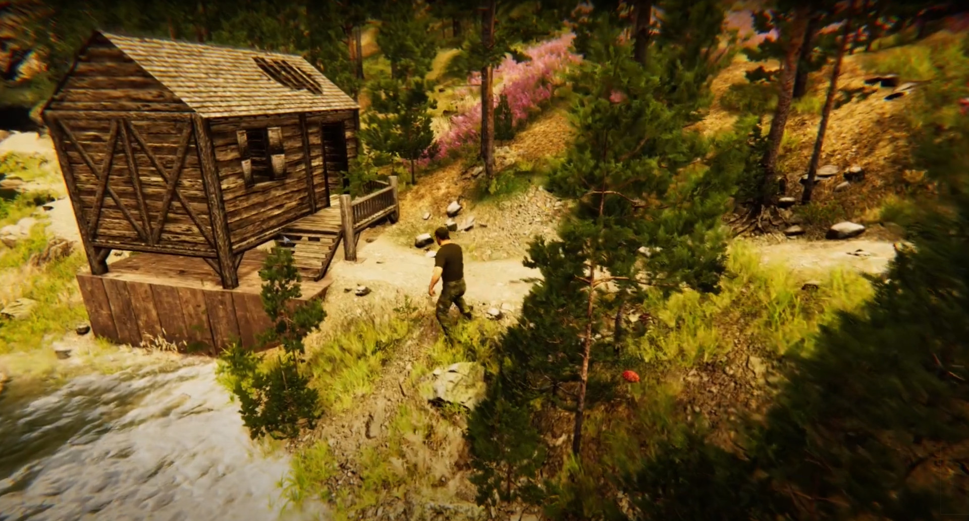 Animal Simulator