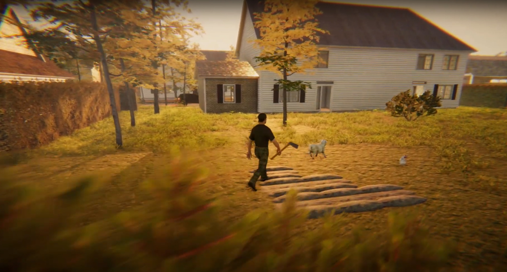 Animal Simulator