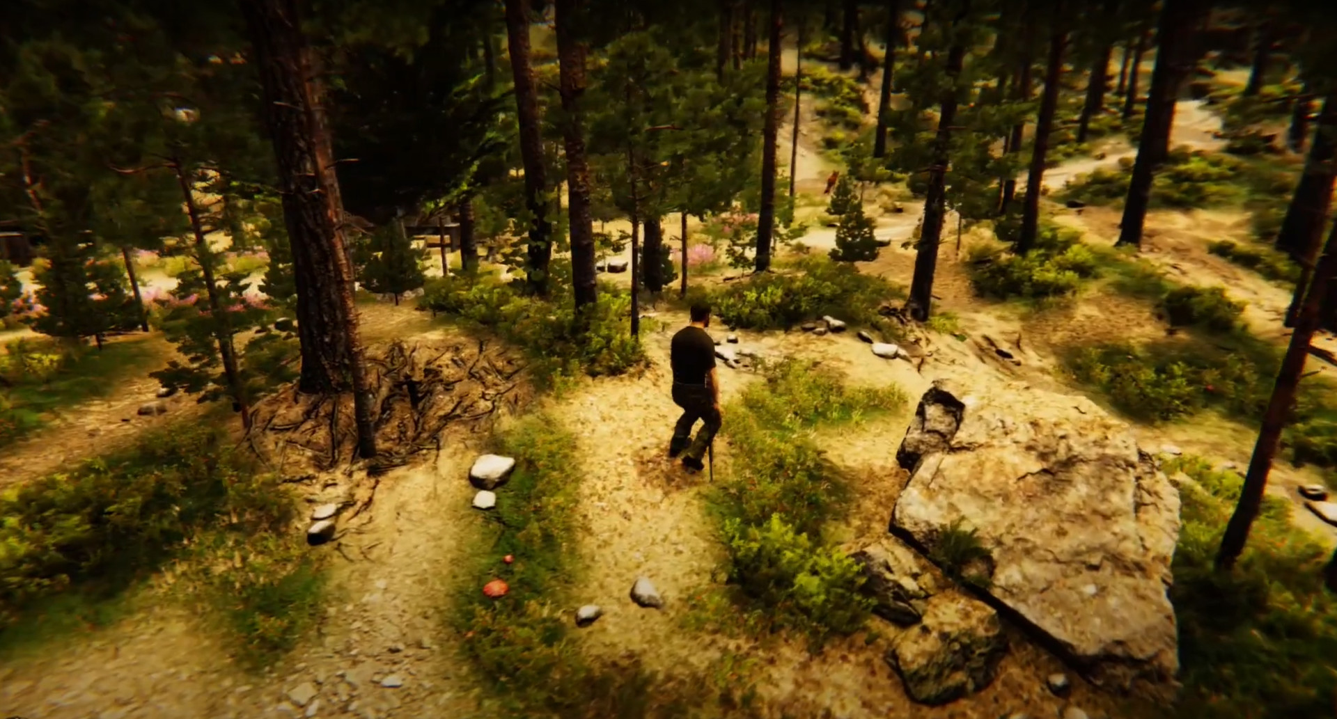 Animal Simulator