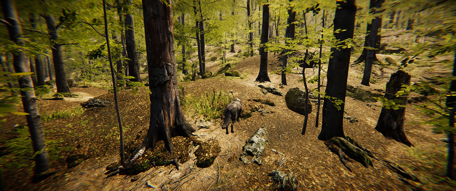 Animal Simulator