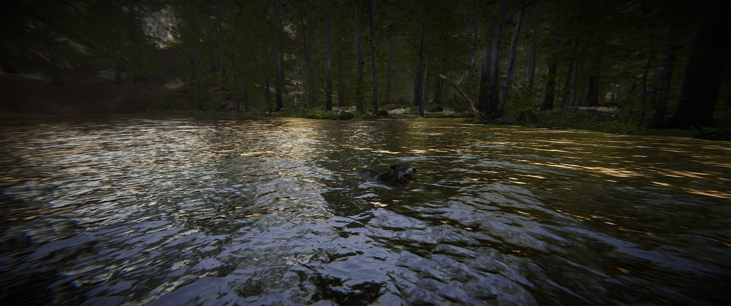 Animal Simulator