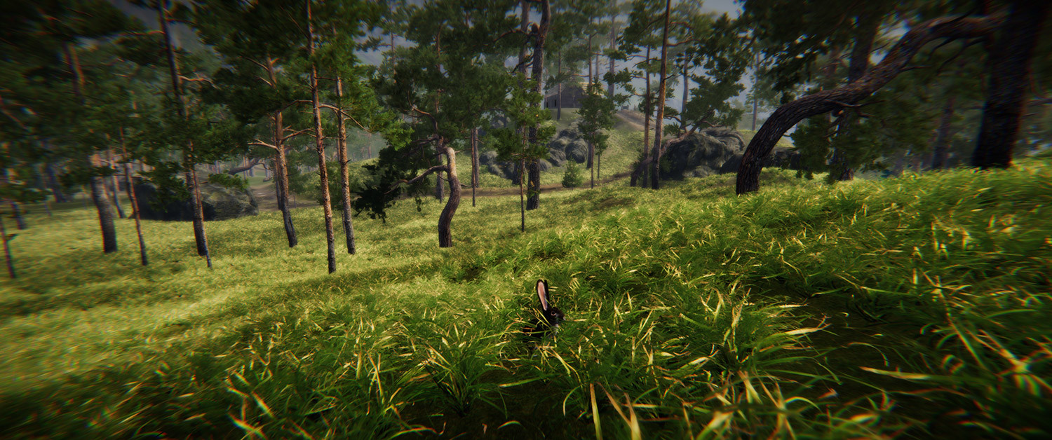 Animal Simulator