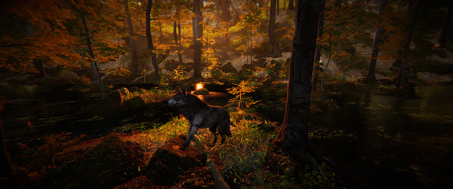Animal Simulator