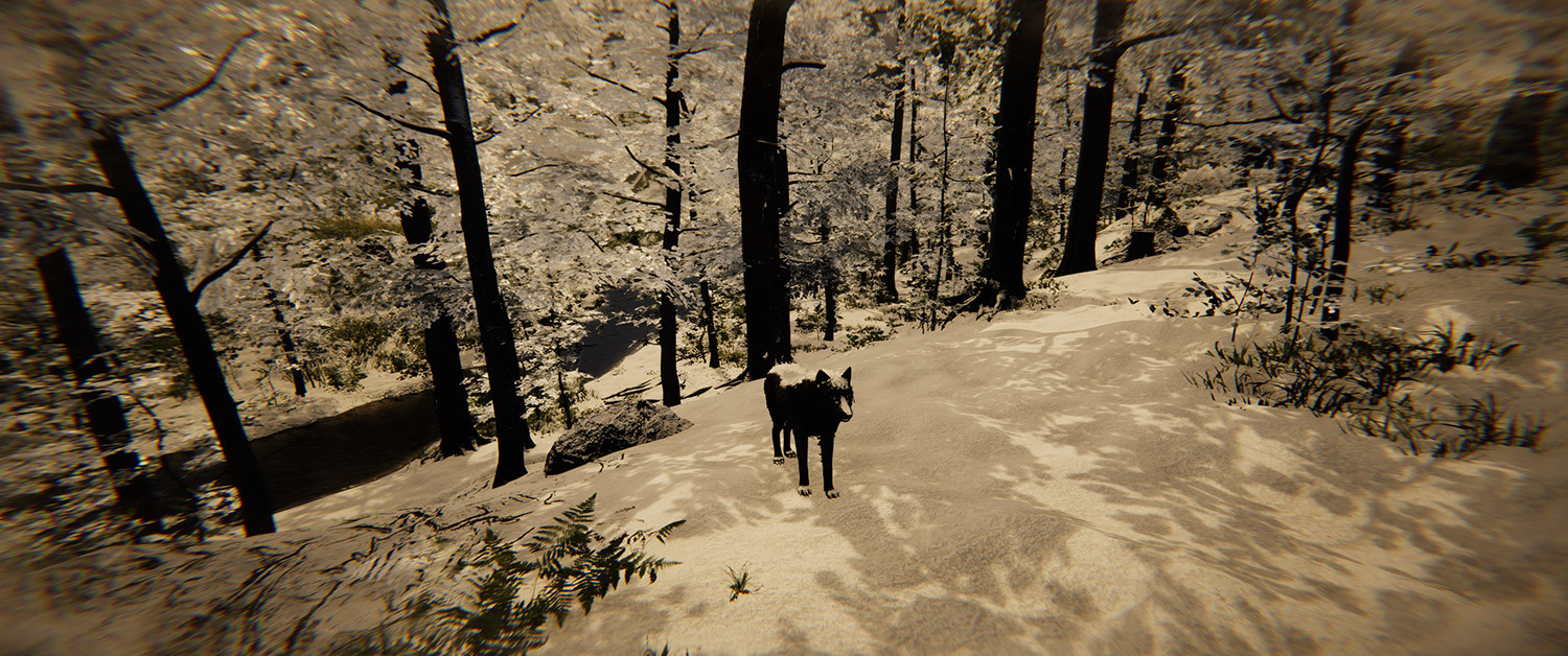 Animal Simulator