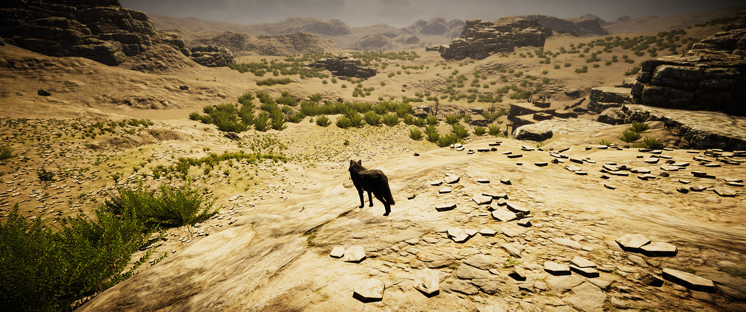 Animal Simulator